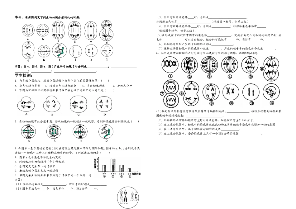 减数分裂和受精作用自学案_第2页