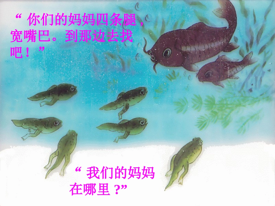 两栖类的生殖和发育2_第3页