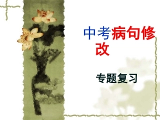 中考语文病句修改专题复习（改）