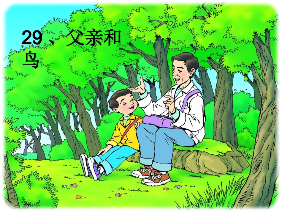 《父亲和鸟》授课课件_第1页