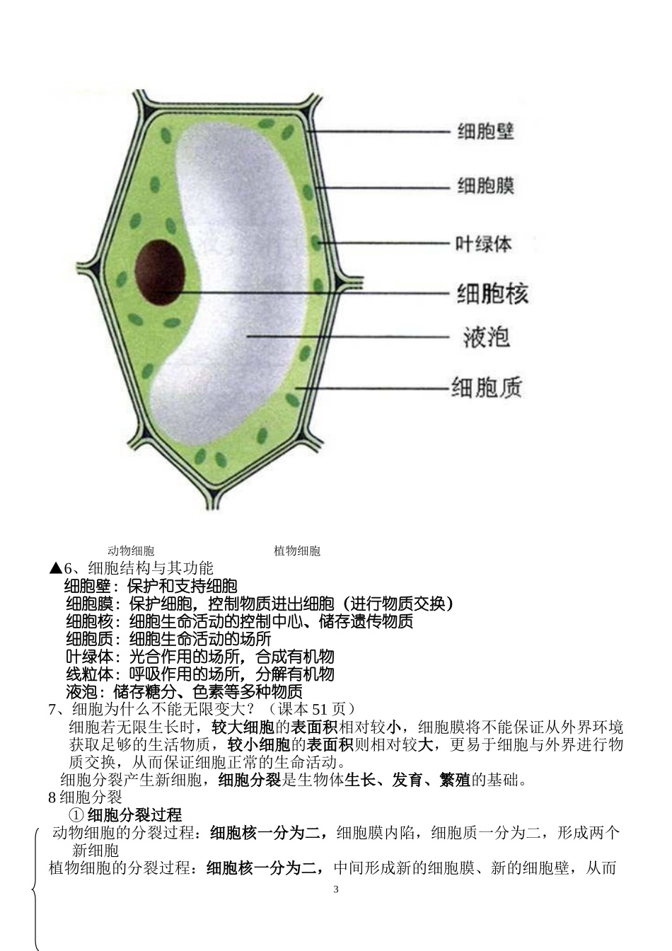 北师大版七年级上册生物复习提纲_第3页
