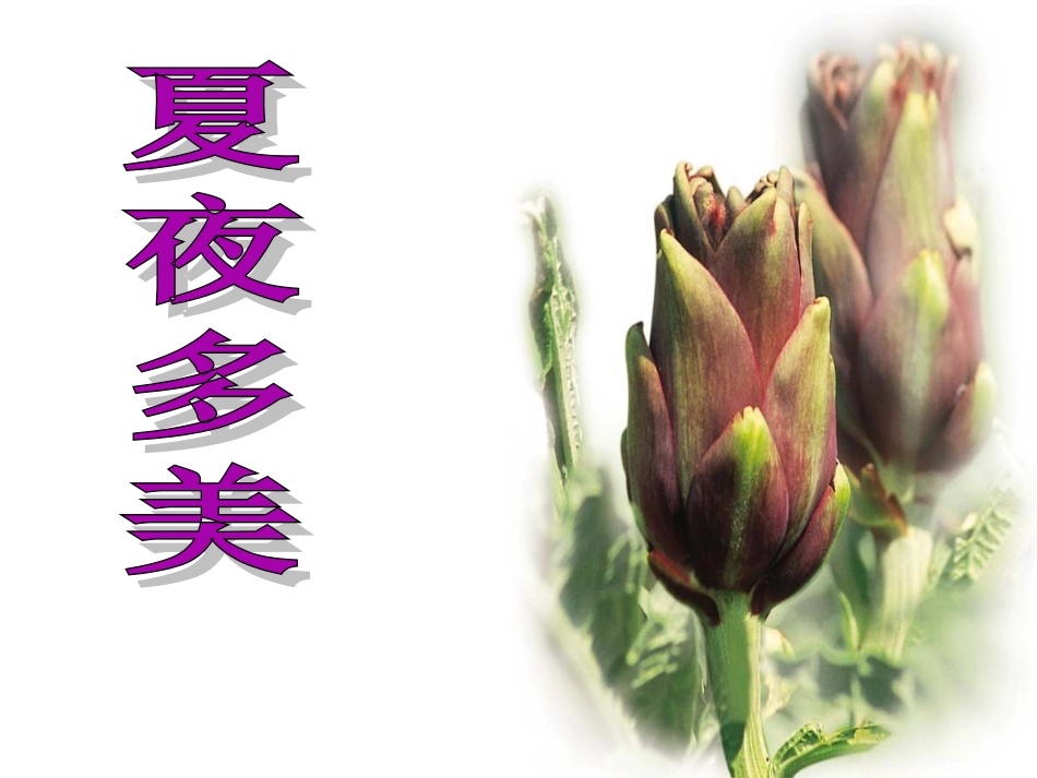 《夏夜多美》课件1_第1页
