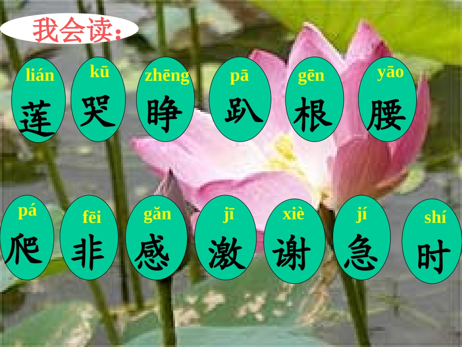 《夏夜多美》课件1_第2页