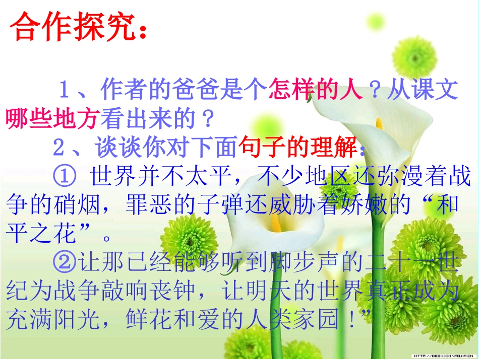 一个中国孩子的呼声课件_第3页