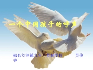 一个中国孩子的呼声课件