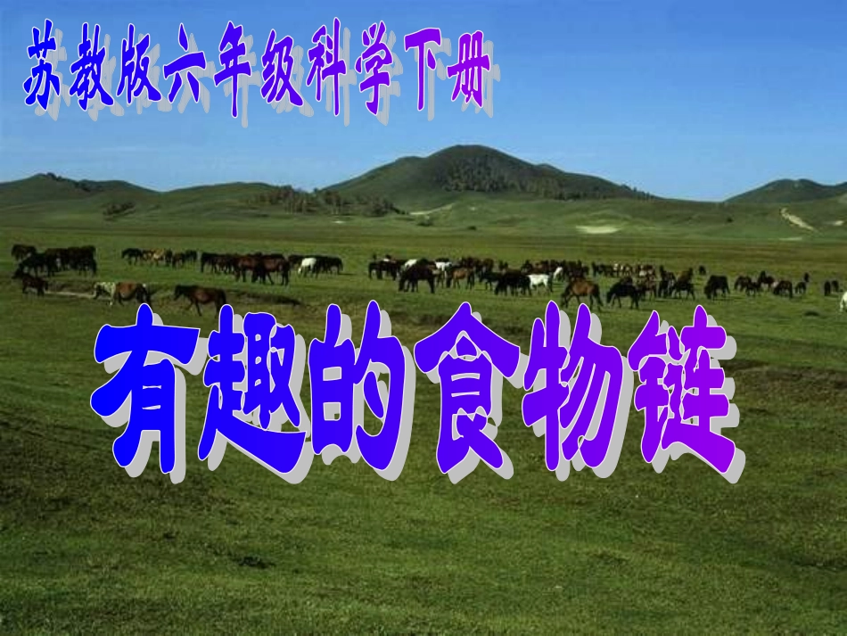 《有趣的食物链》课件1_第1页
