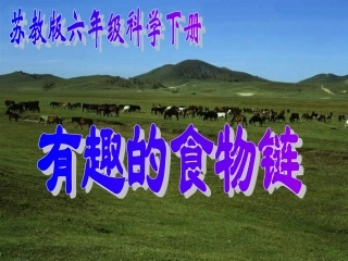 《有趣的食物链》课件1