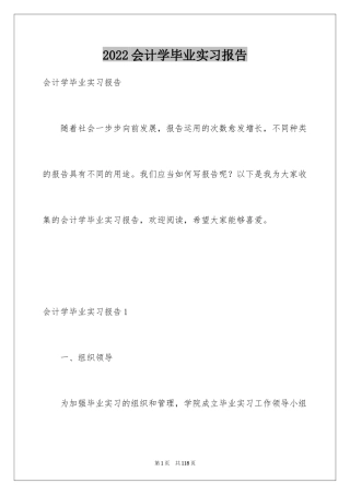 2024会计学毕业实习报告_3