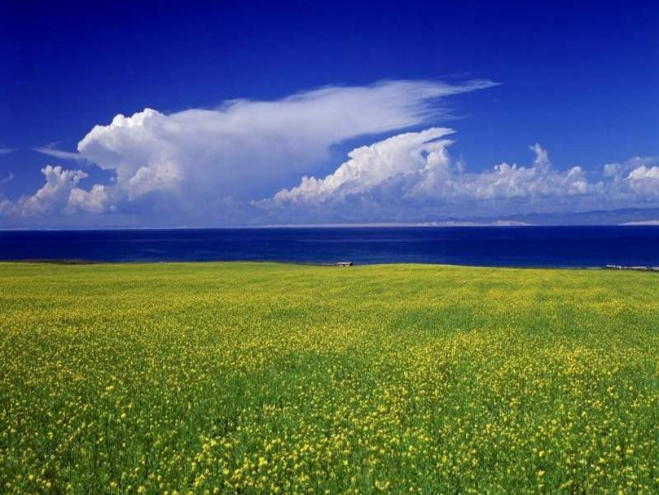 饱和溶液与不饱和溶液_第3页