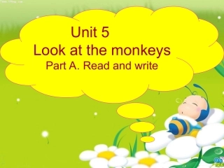 pep小学英语五年级下册unit5第三课时