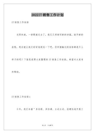 2024IT销售工作计划_2