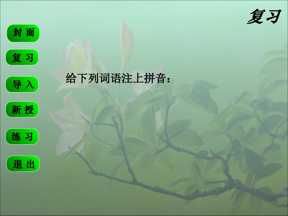 不要乱扔果皮_第2页