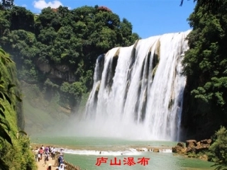 紫藤萝瀑布-冯培磊