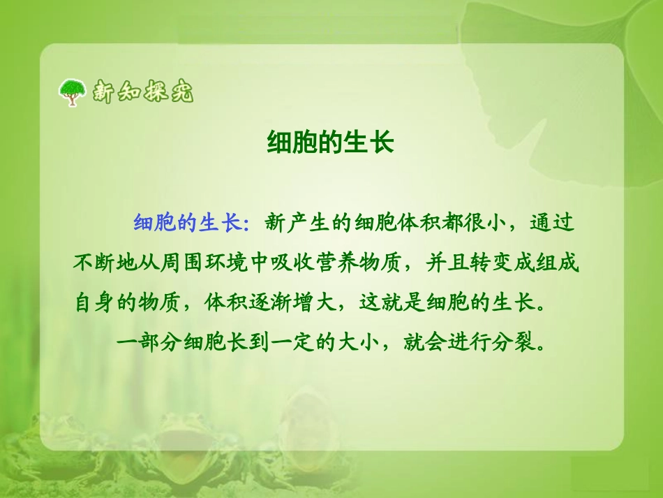 《细胞通过分裂产生新细胞》参考课件_第3页