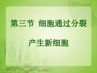 《细胞通过分裂产生新细胞》参考课件