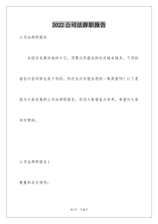2024公司法辞职报告