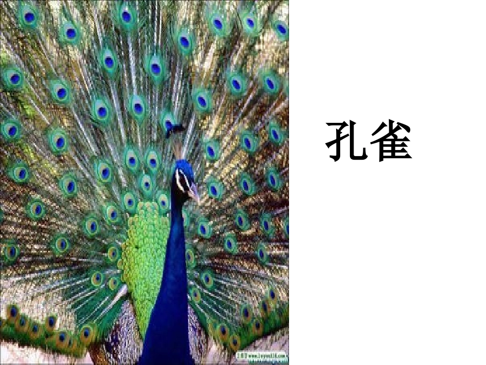 语文百花园四演示文稿1_第2页