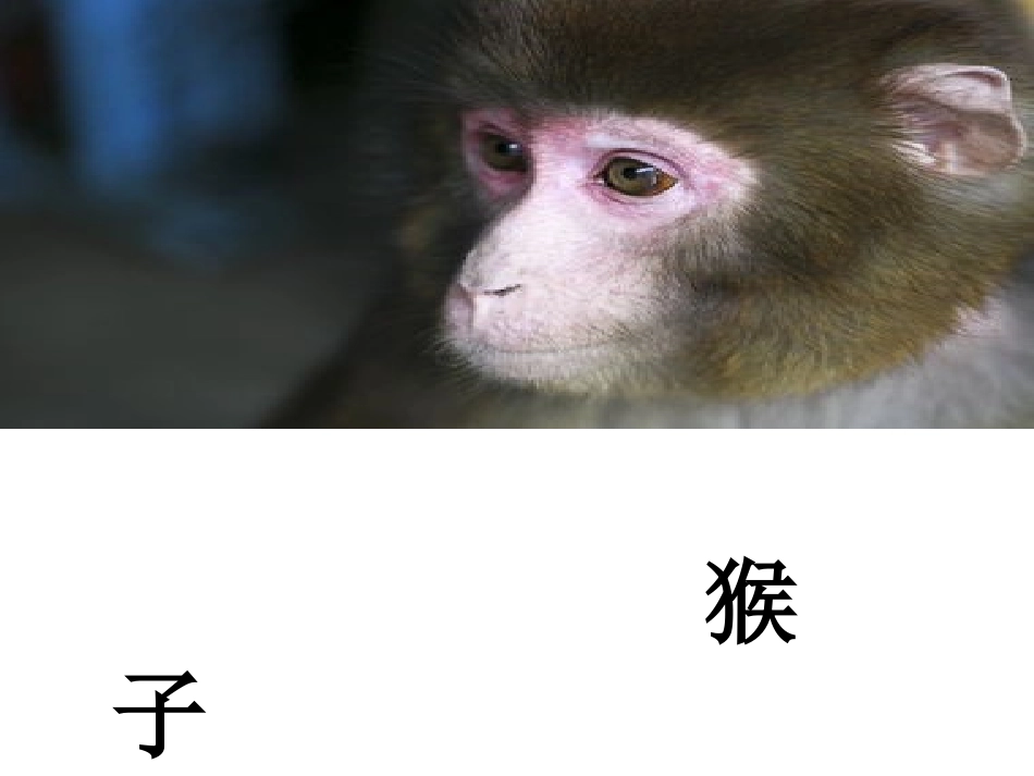 语文百花园四演示文稿1_第3页