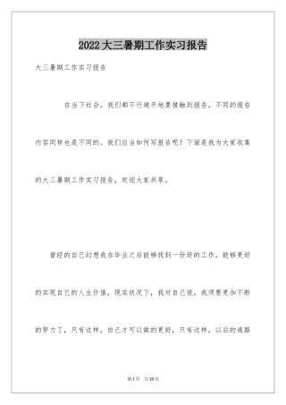 2024大三暑期工作实习报告