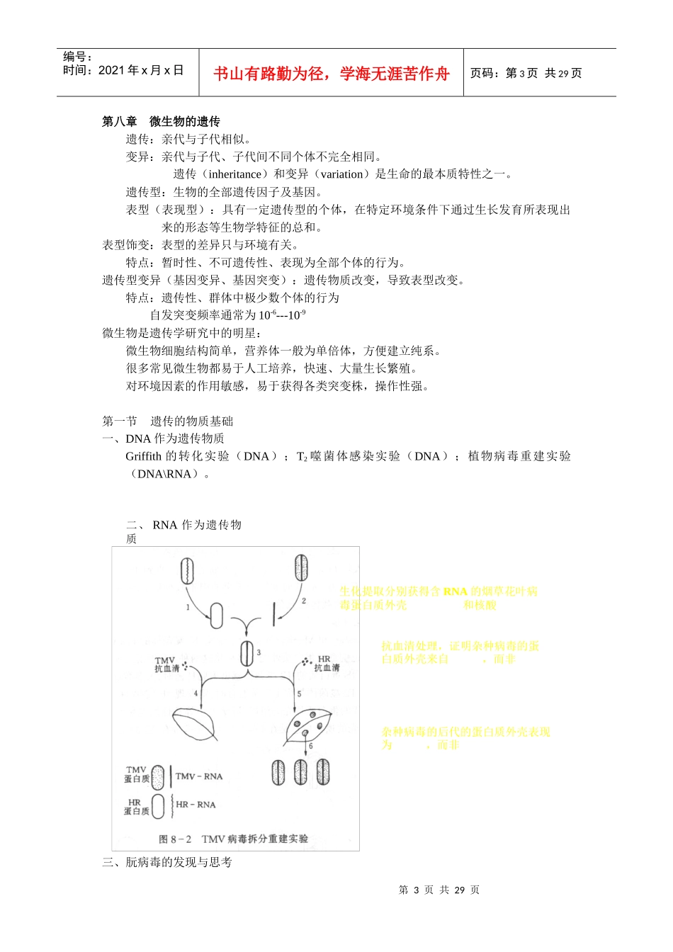 第9章微生物学6-1_第3页