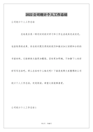 2024公司统计个人工作总结