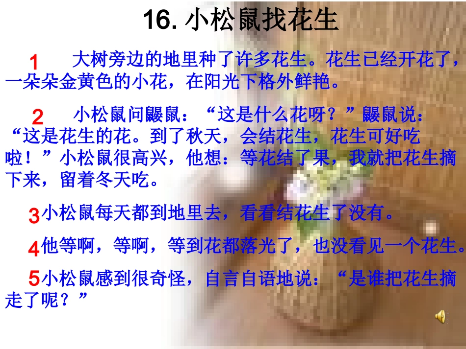 小松鼠找花生 _第3页