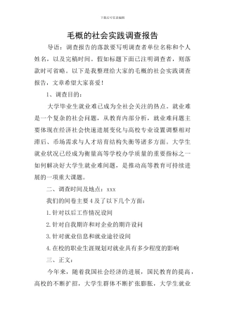 毛概的社会实践调查报告