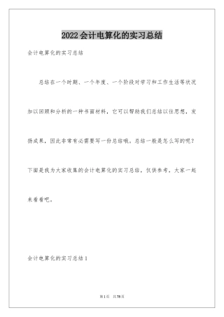 2024会计电算化的实习总结_3