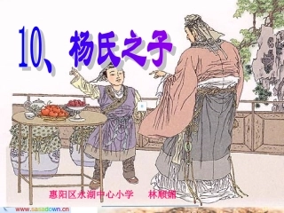 杨氏之子课件