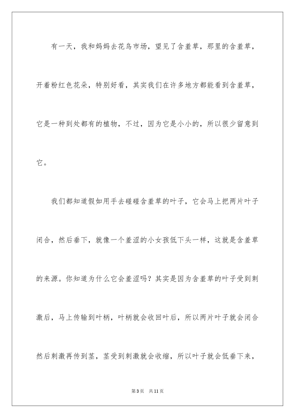 2024含羞草周记_第3页