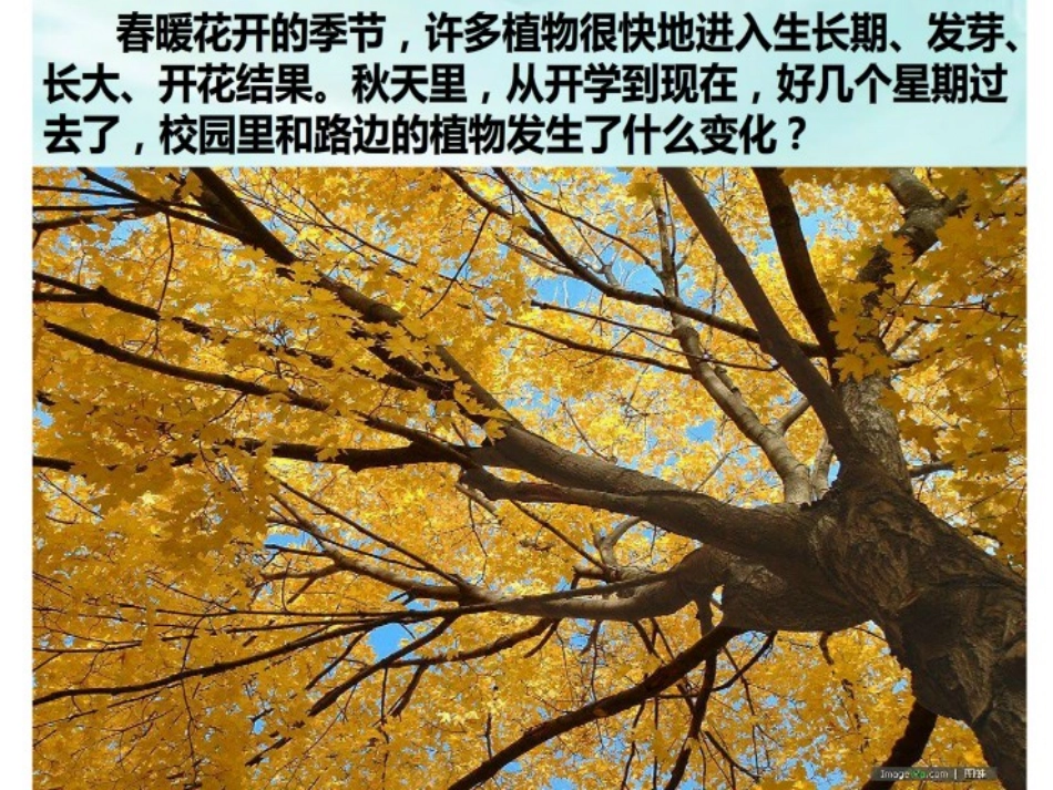 植物有哪些相同特点_第2页