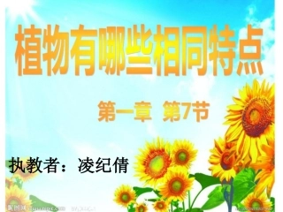 植物有哪些相同特点