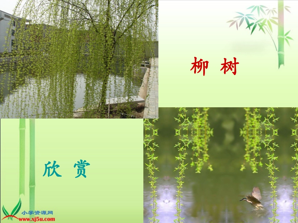 (北师大版)一年级语文下册课件_老树的故事1_第3页