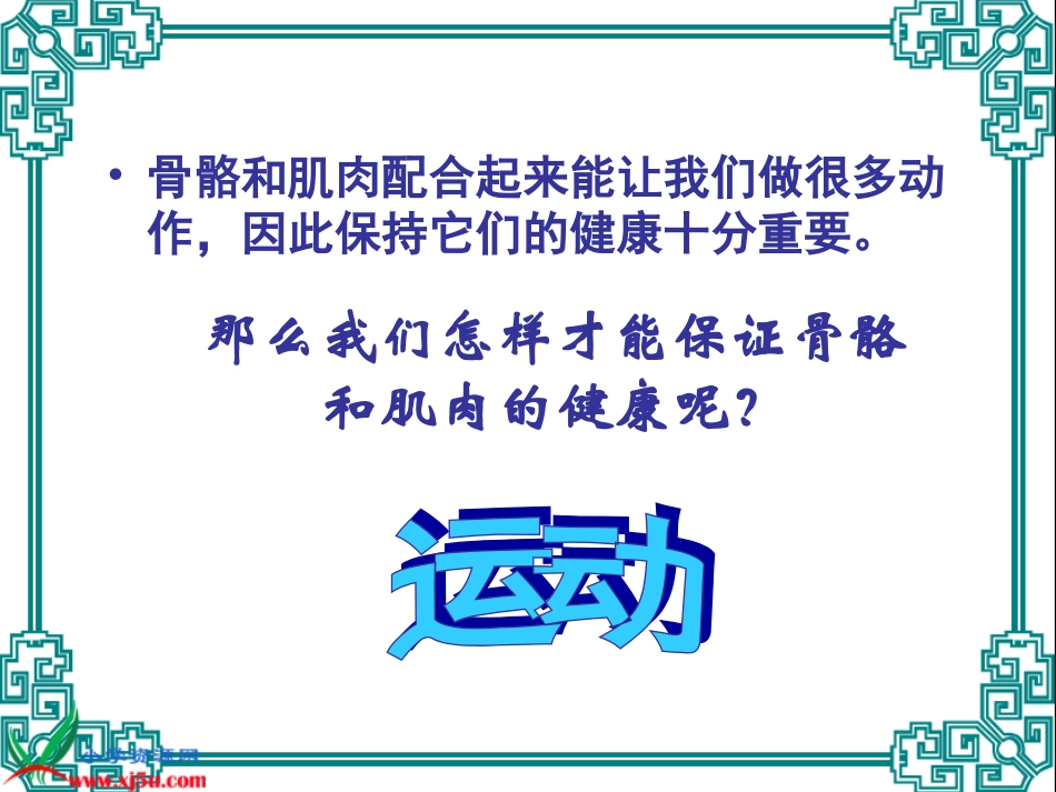 《骨骼肌肉的保健》PPT课件_第2页