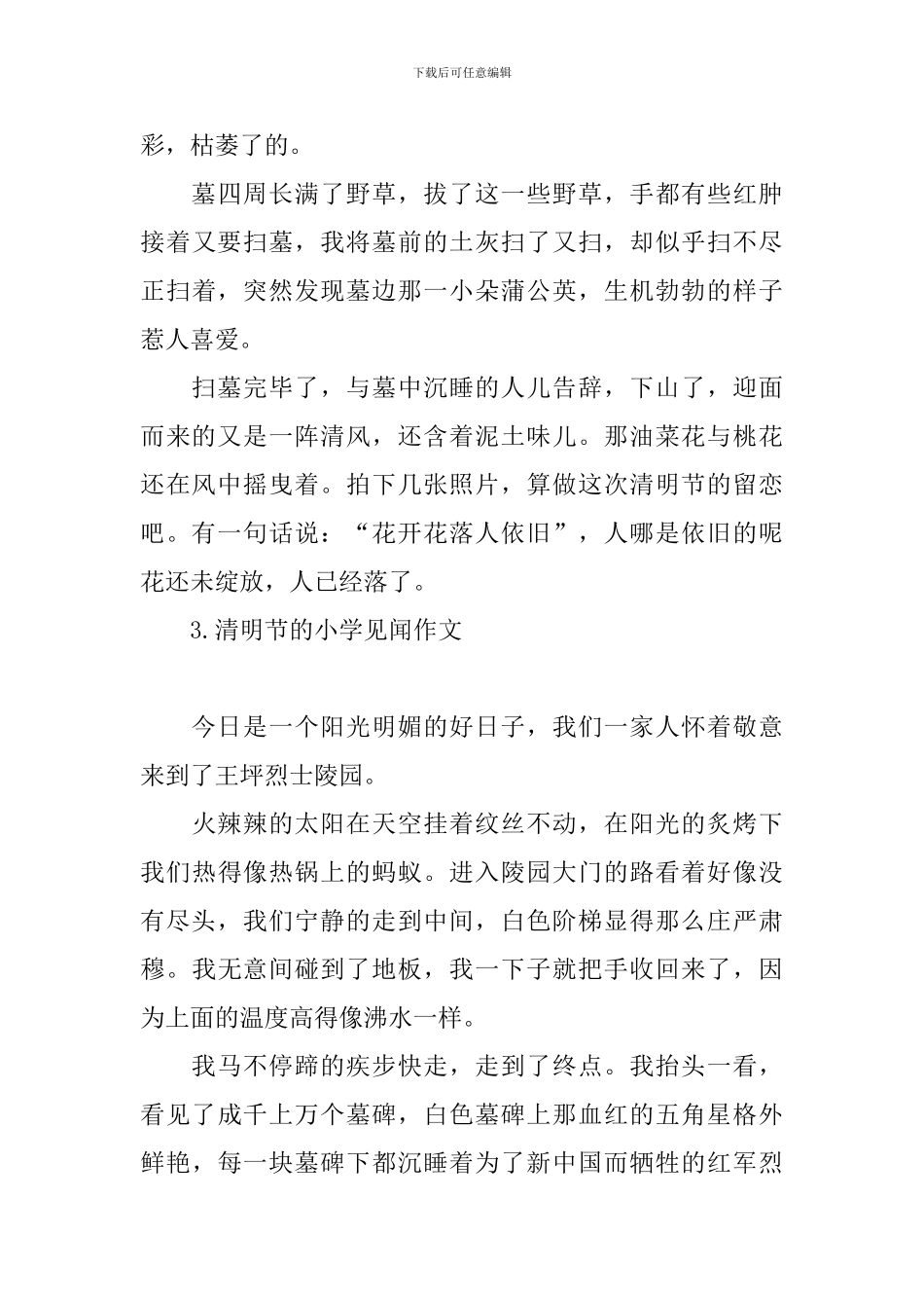 清明节的小学见闻作文_第3页