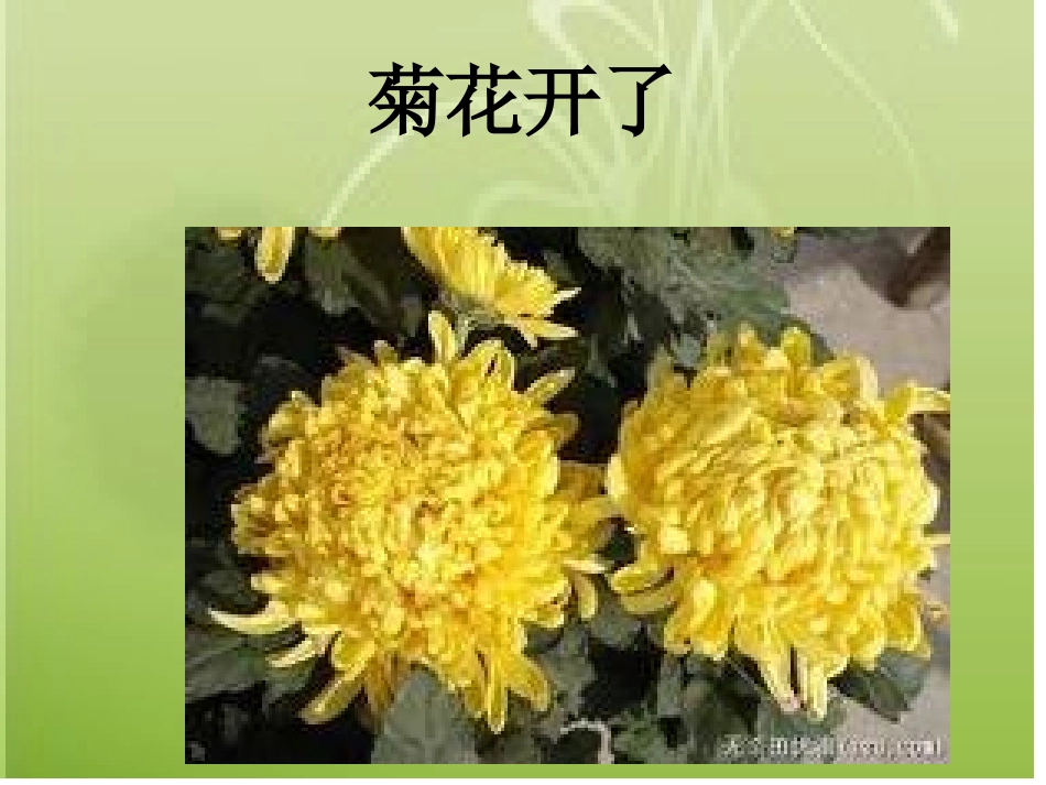 三年级科学《寻找秋天》ok_第3页