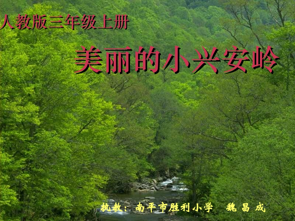 美丽的小兴安岭 (5)_第1页