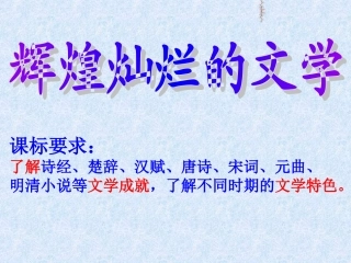 历史：第9课《辉煌灿烂的文学》课件（新人教版必修3）高二
