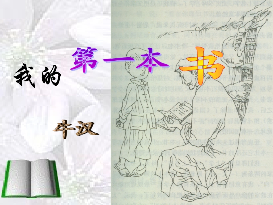 我的第一本书 (4)_第2页