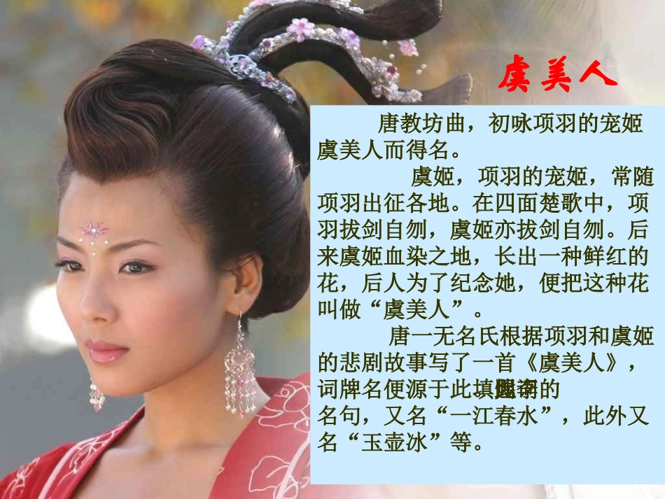 公开课虞美人课件_第3页