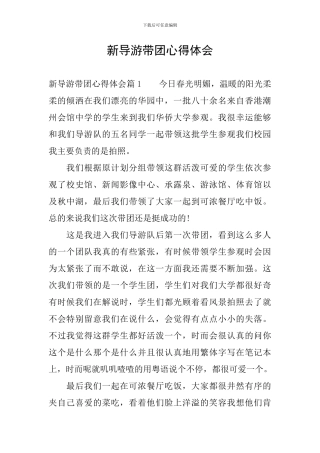 新导游带团心得体会