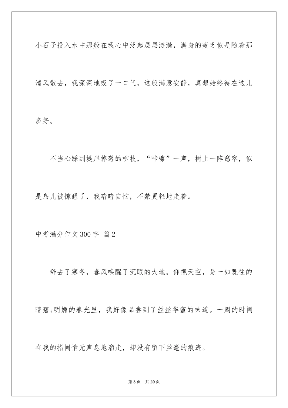 2024中考满分作文300字_51_第3页