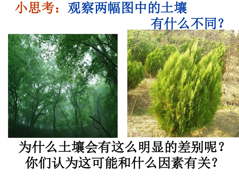小学科学三年级下册《肥沃的土壤》课件_第3页
