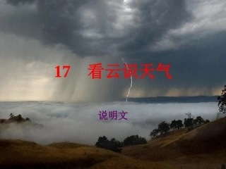 看云识天气2