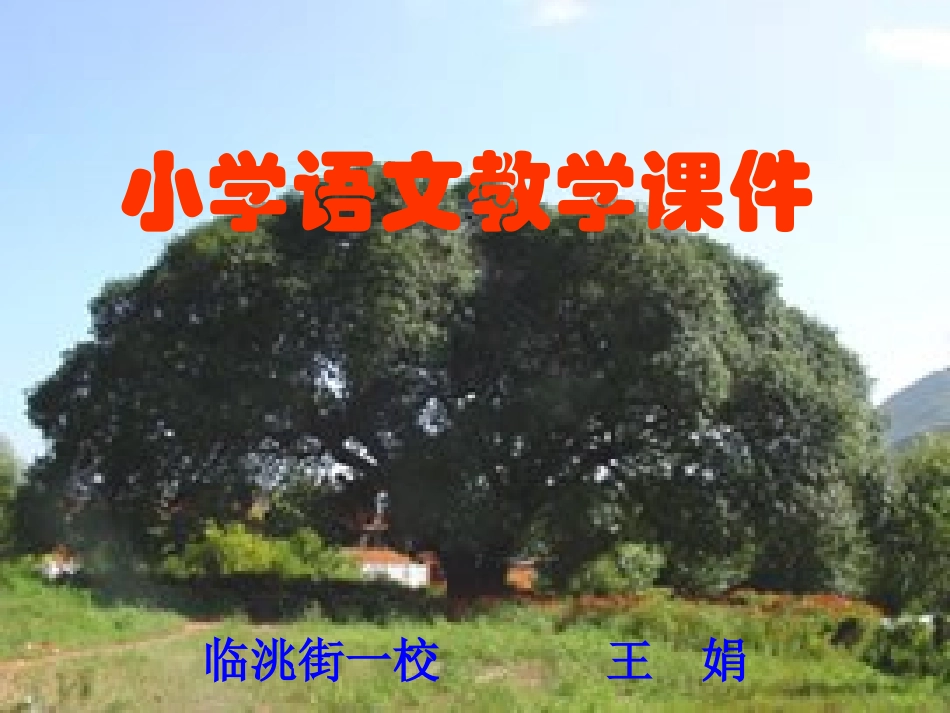 鸟的天堂PPT课件_第1页
