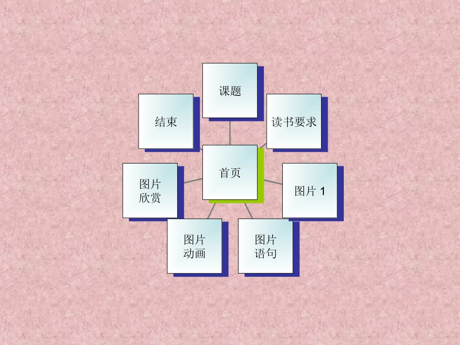 鸟的天堂PPT课件_第2页
