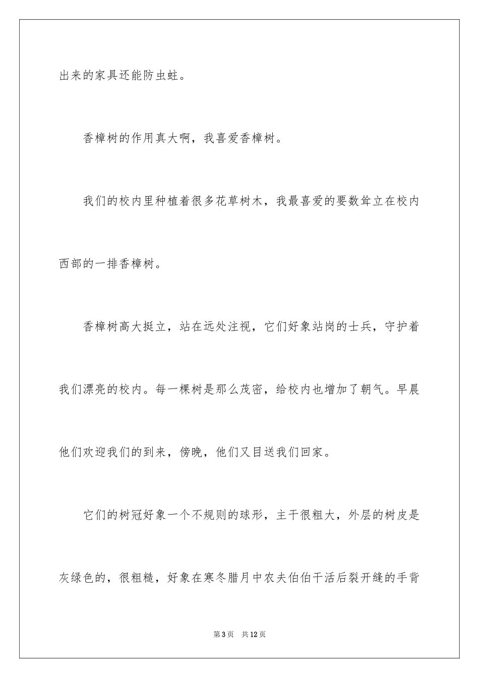 2024写香樟树作文_36_第3页