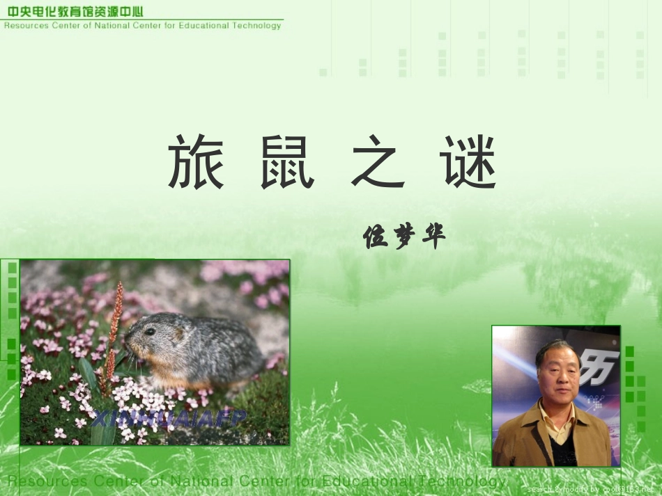旅鼠之谜课件_第1页
