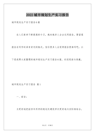 2024城市规划生产实习报告_2