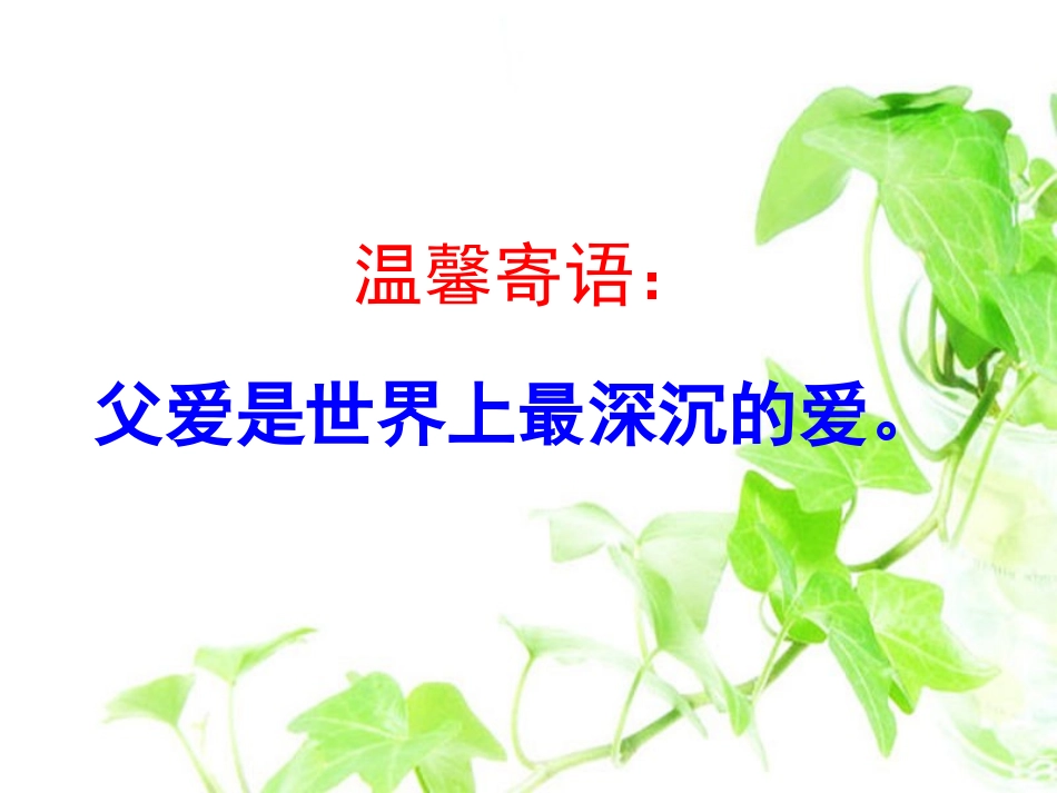 《青山处处埋忠骨》课件_第1页